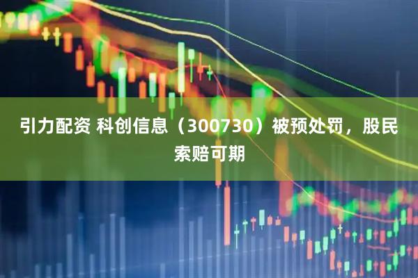 引力配资 科创信息（300730）被预处罚，股民索赔可期